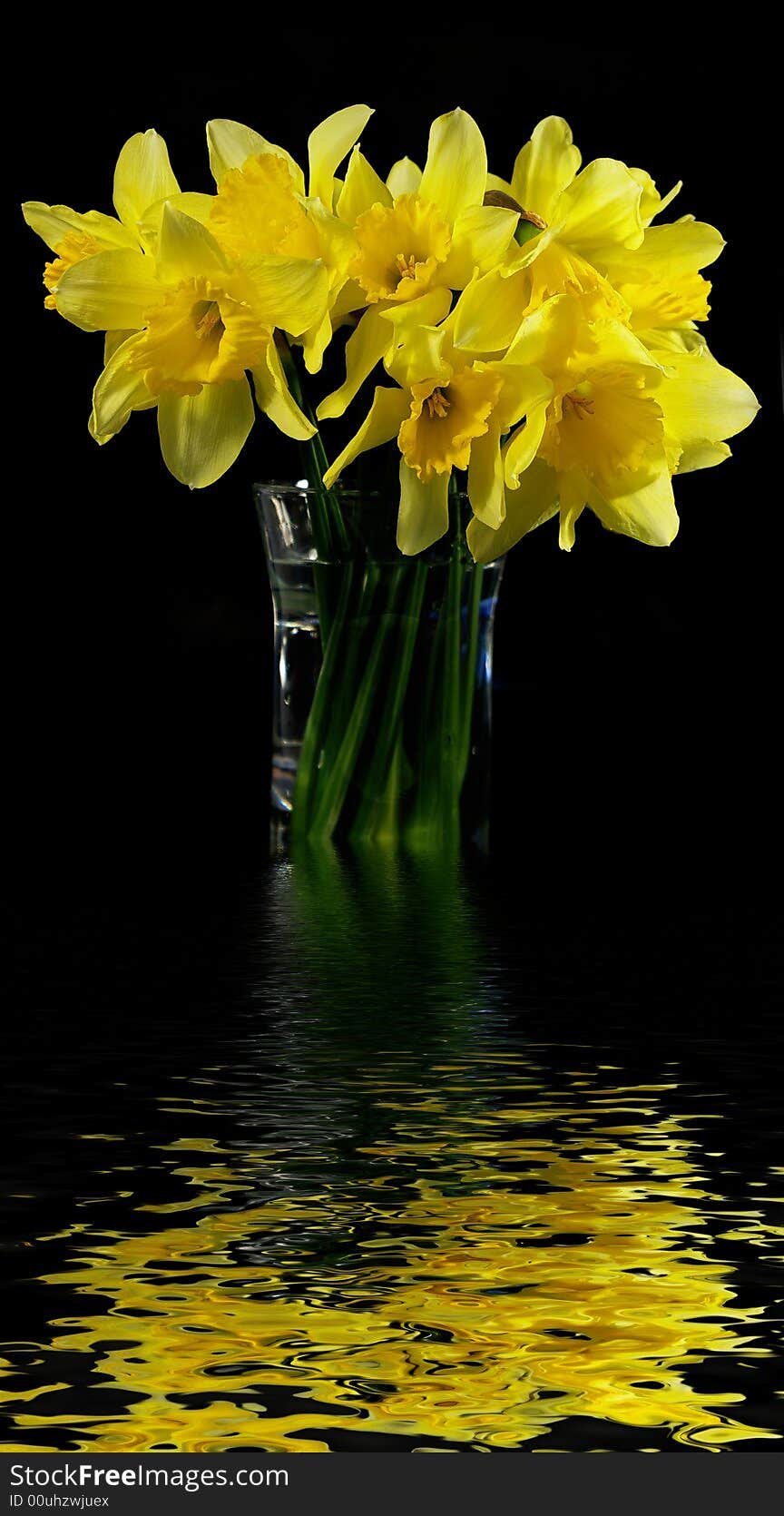 Bouquet of narcissuses in a transparent vase on a black background