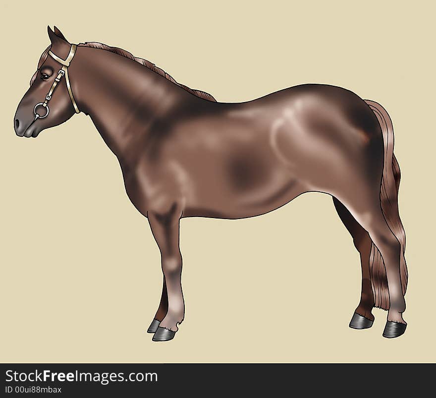 Illustration of a brown pony - Pottok breed - Realistic style