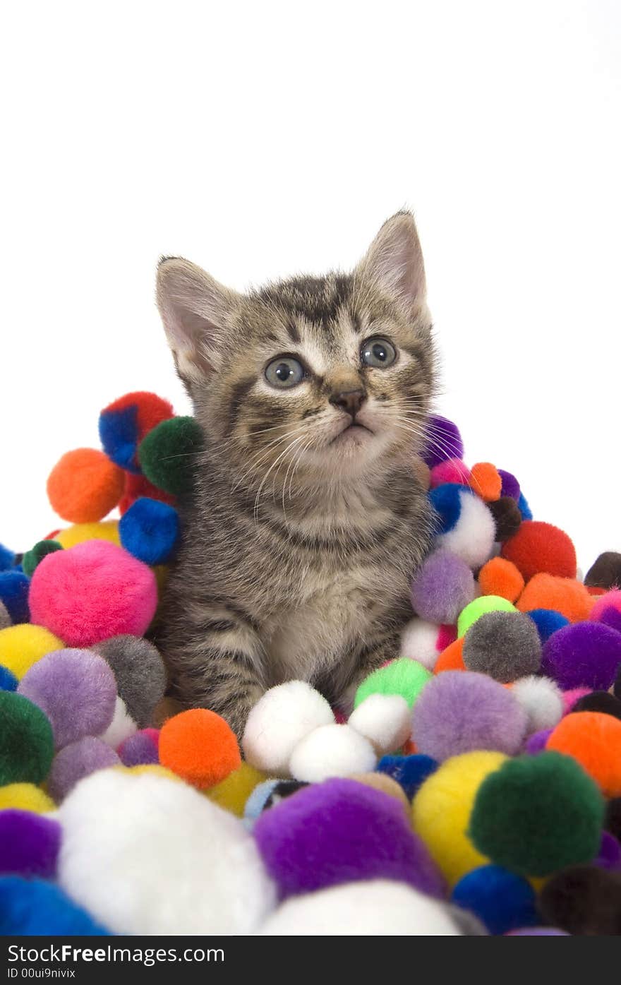 Kitten And Colorful Puff Balls