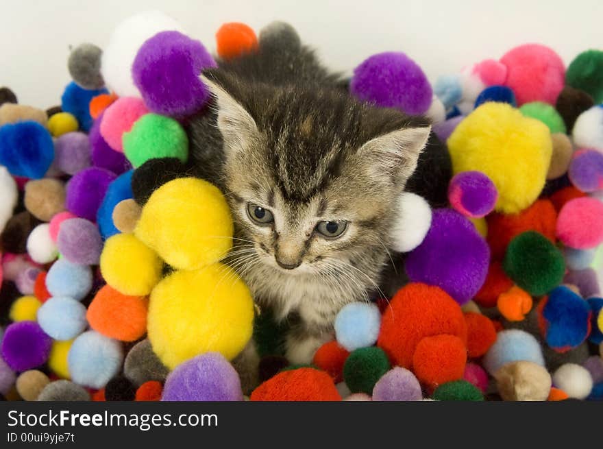 Kitten and colorful puff balls