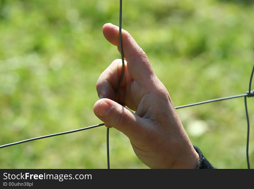 Hand in wire - symbol of freedom versus prison