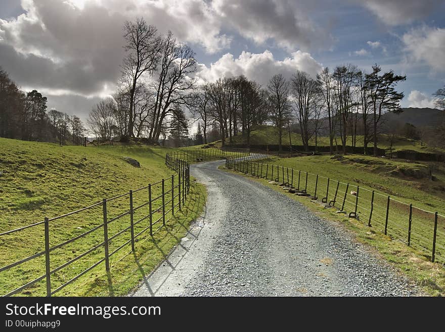 A backlit tarmac track leading to trees enclosed by a metal fence. A backlit tarmac track leading to trees enclosed by a metal fence