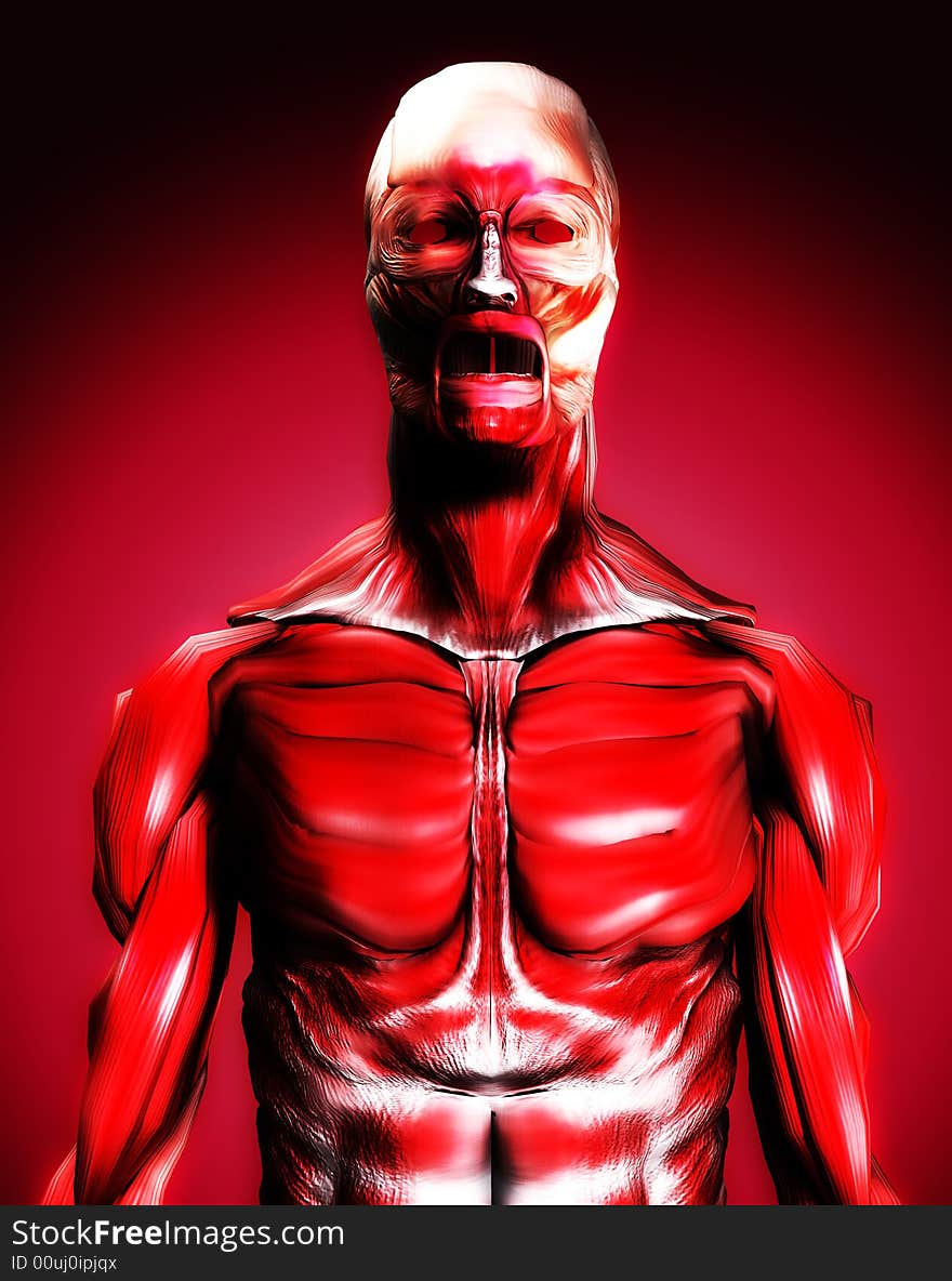 A male body that is made up of just muscles, it would make a good medical or Halloween image. A male body that is made up of just muscles, it would make a good medical or Halloween image.