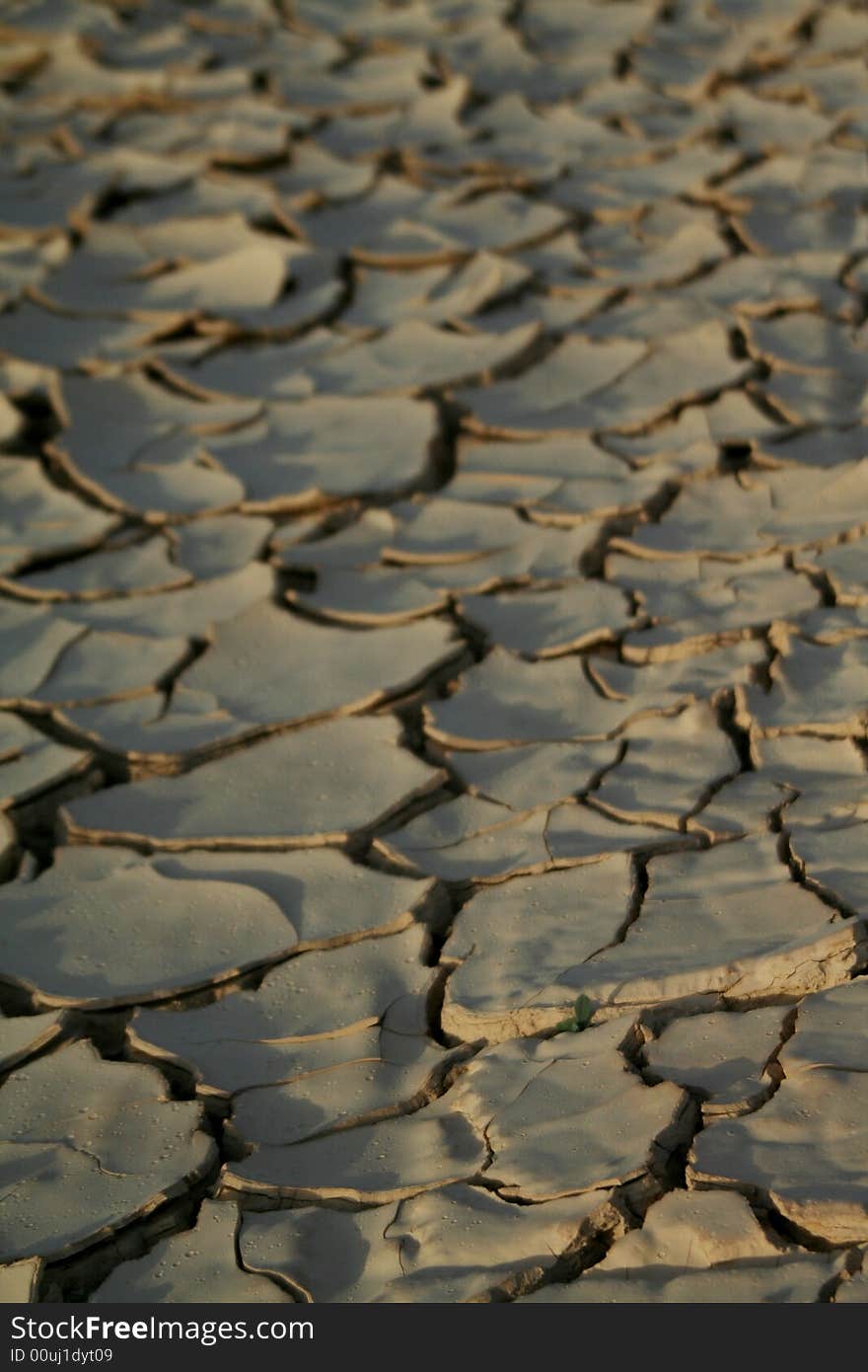 DRY MUD CRACKS