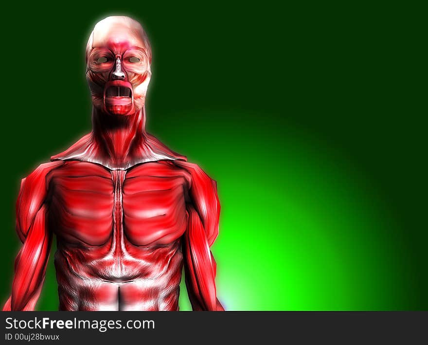 A male body that is made up of just muscles, it would make a good medical or Halloween image. A male body that is made up of just muscles, it would make a good medical or Halloween image.