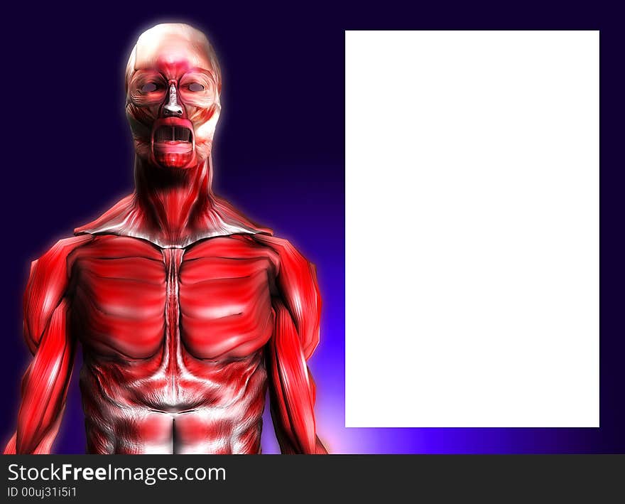 A male body that is made up of just muscles, it would make a good medical or Halloween image. it has a blank area which you can put your own information in. A male body that is made up of just muscles, it would make a good medical or Halloween image. it has a blank area which you can put your own information in.