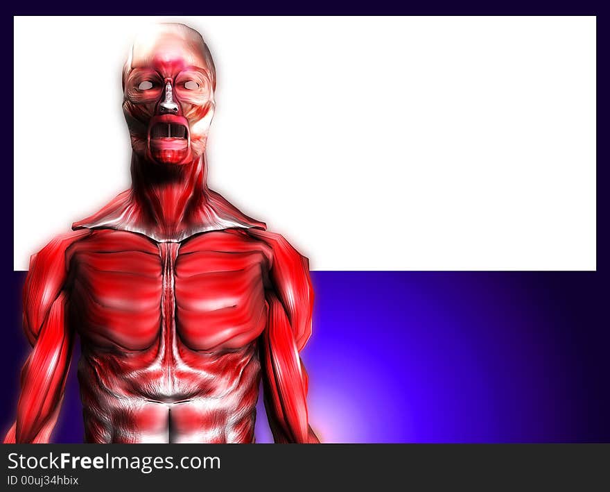 A male body that is made up of just muscles, it would make a good medical or Halloween image. it has a blank area which you can put your own information in. A male body that is made up of just muscles, it would make a good medical or Halloween image. it has a blank area which you can put your own information in.