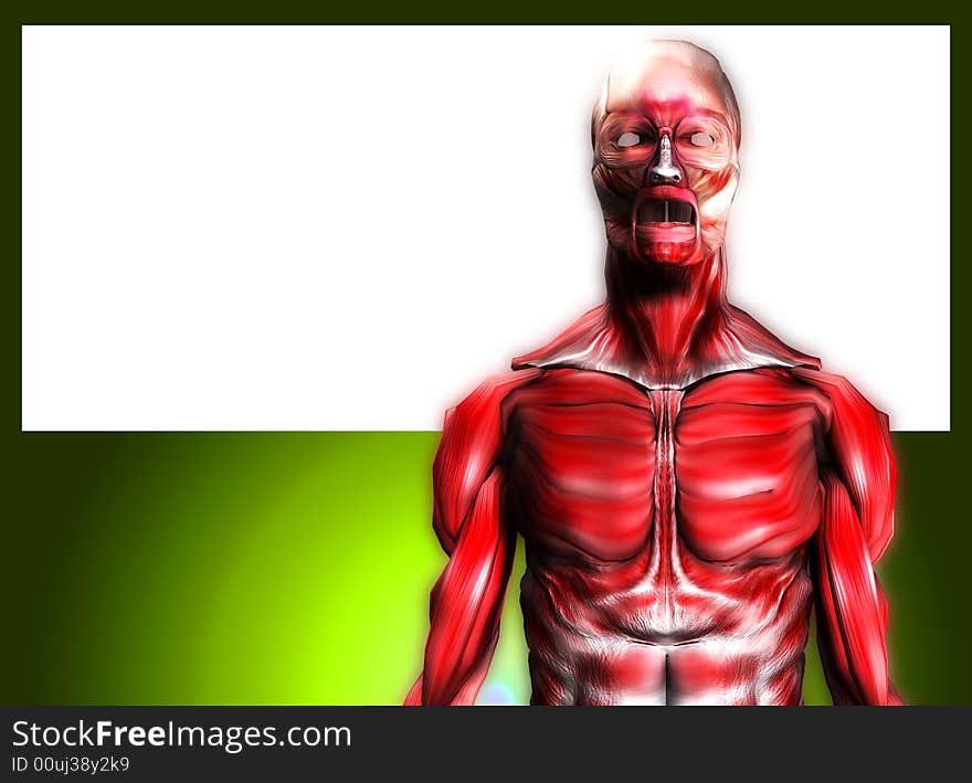 A male body that is made up of just muscles, it would make a good medical or Halloween image. it has a blank area which you can put your own information in. A male body that is made up of just muscles, it would make a good medical or Halloween image. it has a blank area which you can put your own information in.