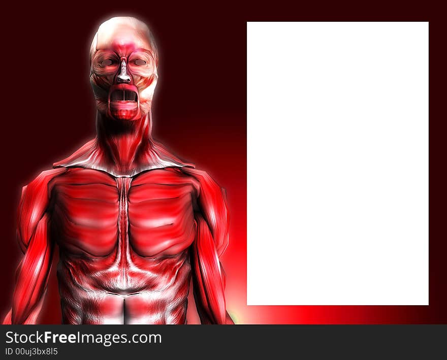 A male body that is made up of just muscles, it would make a good medical or Halloween image. it has a blank area which you can put your own information in. A male body that is made up of just muscles, it would make a good medical or Halloween image. it has a blank area which you can put your own information in.