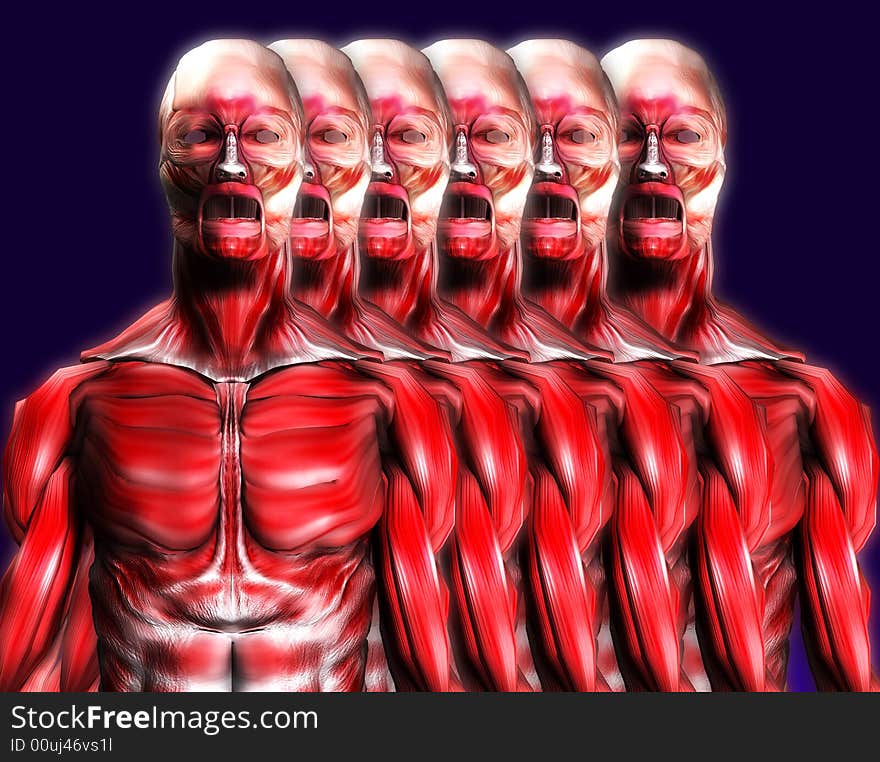 A set of male bodies that is made up of just muscles, it would make a good medical or Halloween image. A set of male bodies that is made up of just muscles, it would make a good medical or Halloween image.