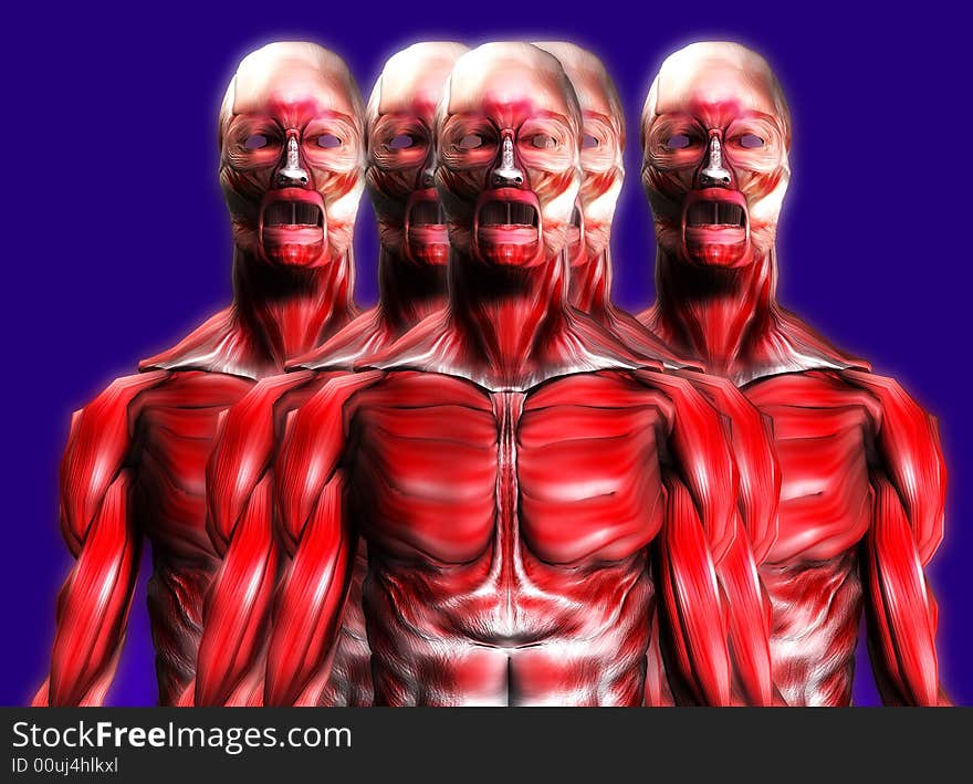 A set of male bodies that is made up of just muscles, it would make a good medical or Halloween image. A set of male bodies that is made up of just muscles, it would make a good medical or Halloween image.