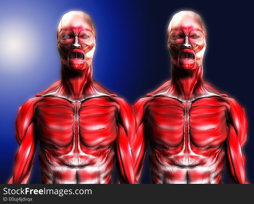 A set of male bodies that is made up of just muscles, it would make a good medical or Halloween image. A set of male bodies that is made up of just muscles, it would make a good medical or Halloween image.