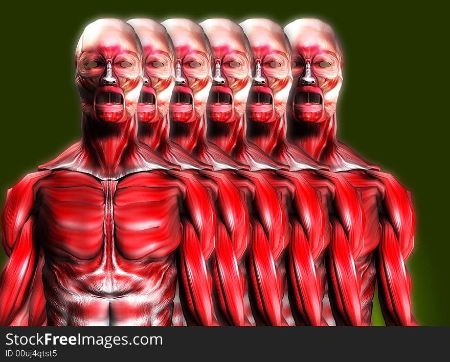 A set of male bodies that is made up of just muscles, it would make a good medical or Halloween image. A set of male bodies that is made up of just muscles, it would make a good medical or Halloween image.