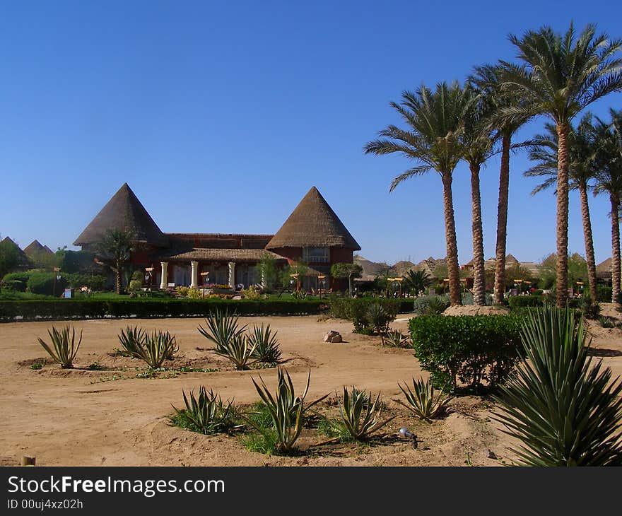 House, trees, sand and the blue sky. House, trees, sand and the blue sky