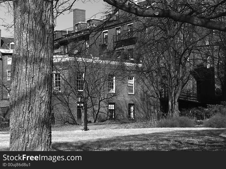 Haunting new england image of large old brick building hidden in the trees in black and white