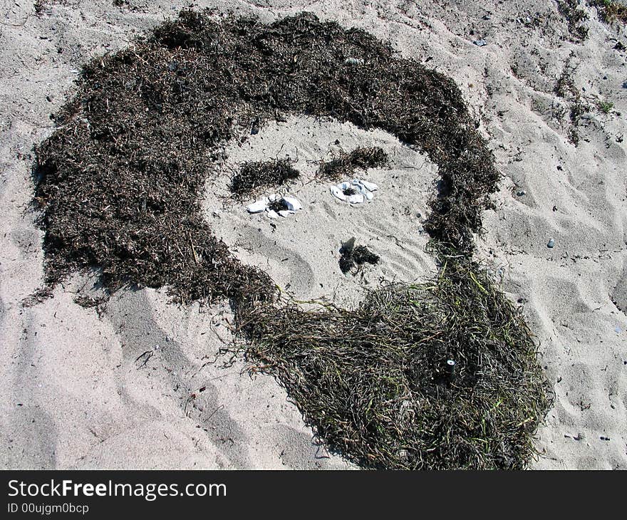 Beach art - Human face made of seaweeds and stones. Beach art - Human face made of seaweeds and stones