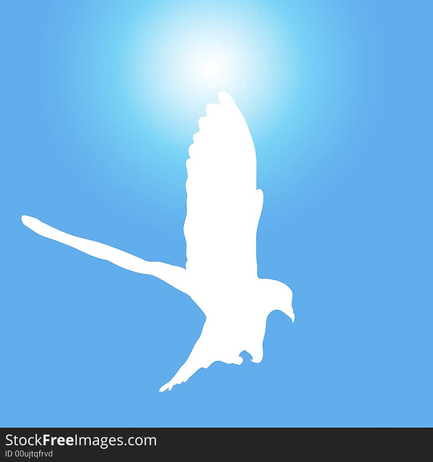 Illustration of white dove flying on sunny blue sky. Illustration of white dove flying on sunny blue sky