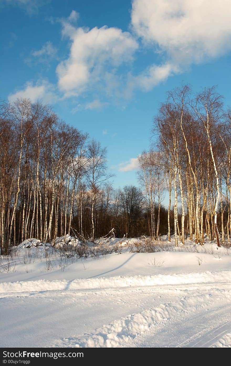 Sunny Winter landscape at sunset