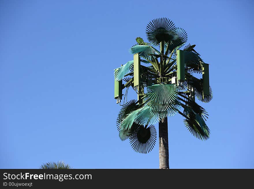 A modern communications tower made to look like a palm tree