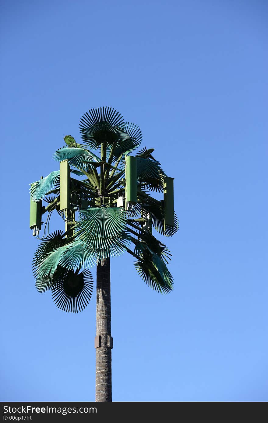 A modern communications tower made to look like a palm tree