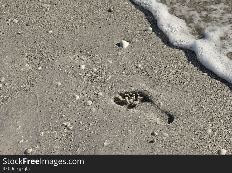 Step sand beach wather ocean wave walking. Step sand beach wather ocean wave walking