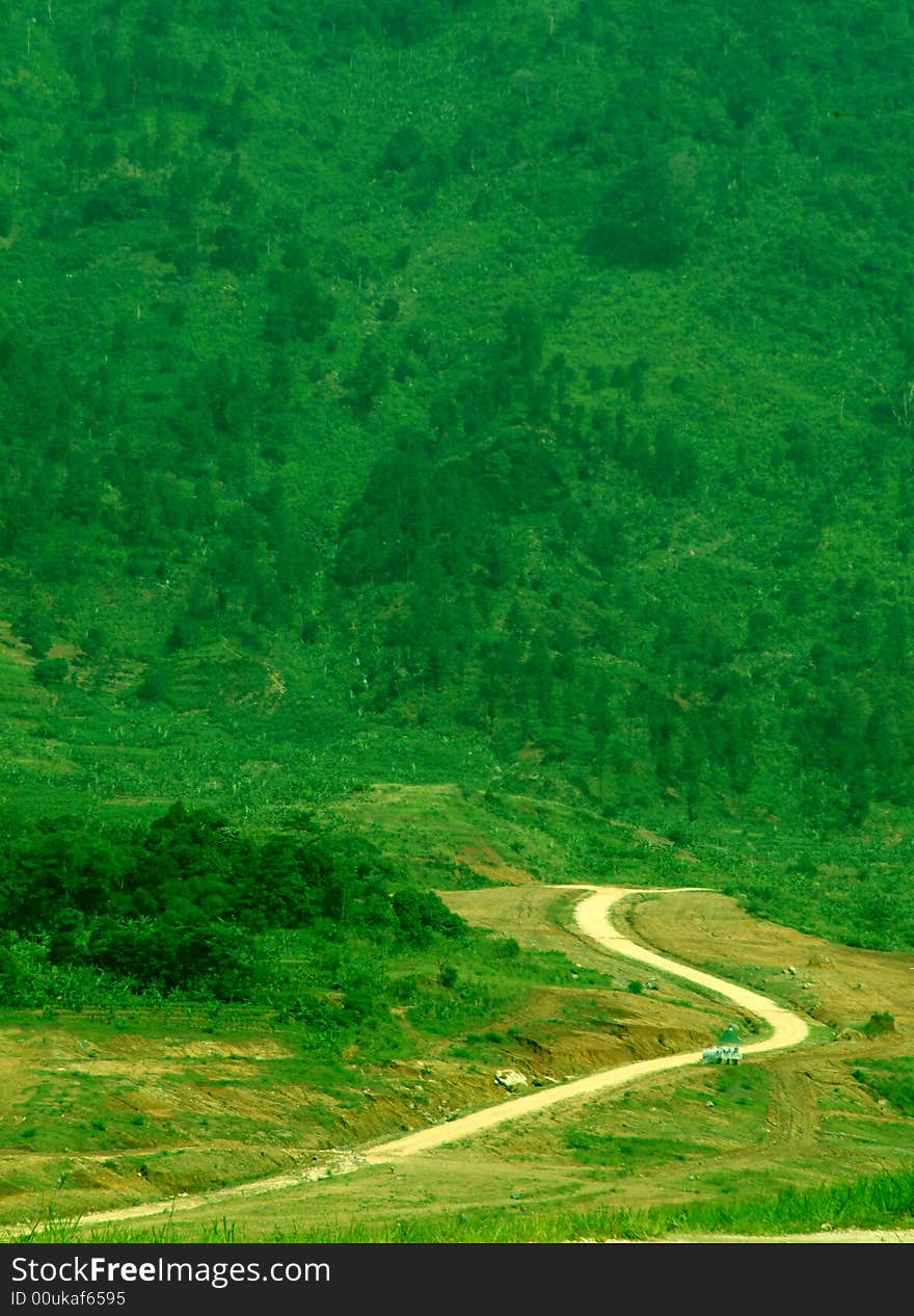 Green Forest