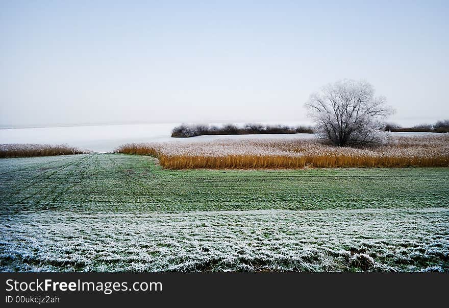 Beautiful winter landscape in the netherlands