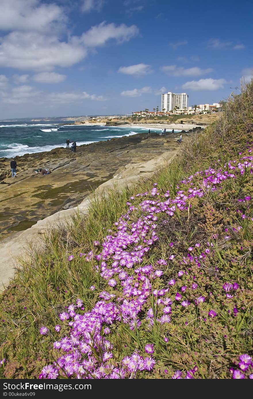 La Jolla coast line near San Diego