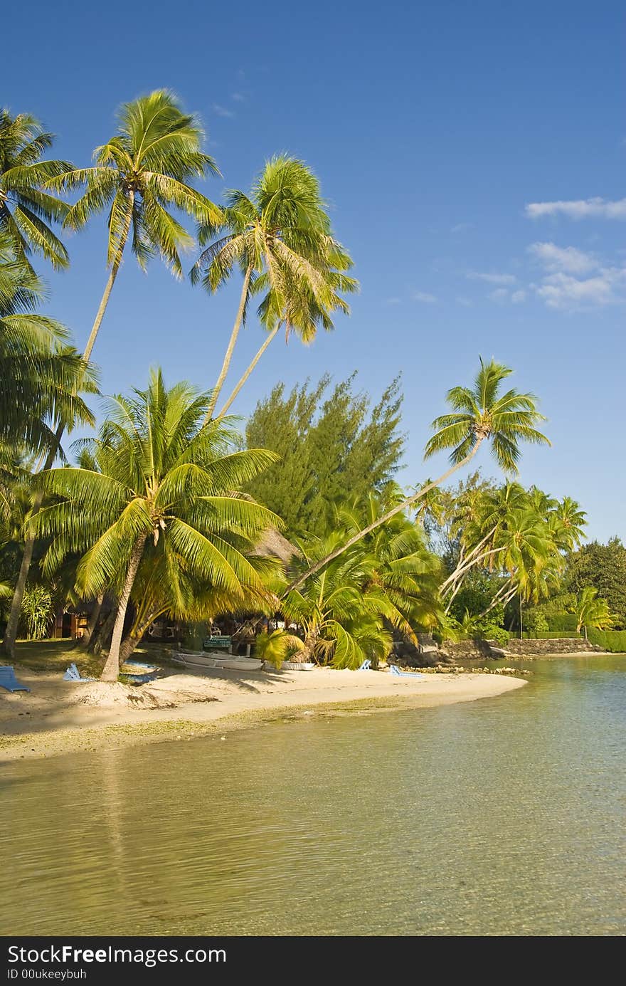 Tropical beach resort on moorea in south seas