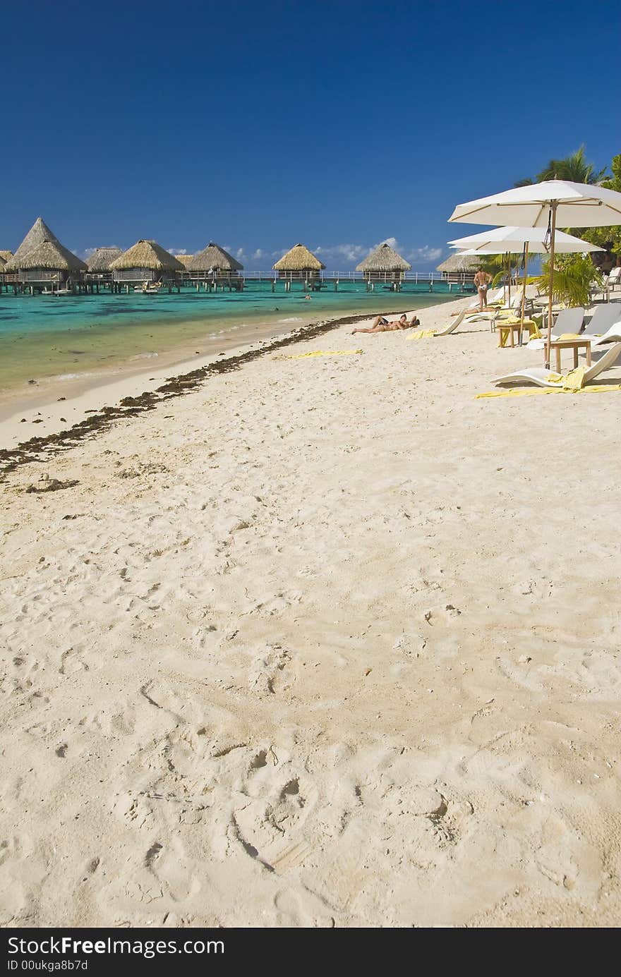 Tropical Beach Resort On Moorea In South Seas