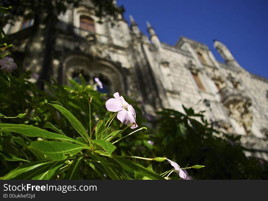 Royal  portugal palace