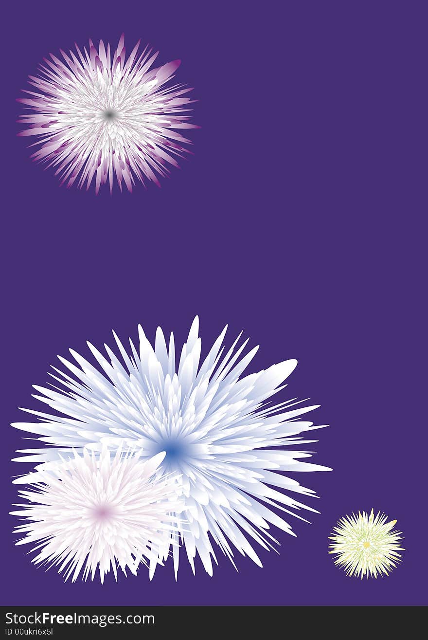 Aster