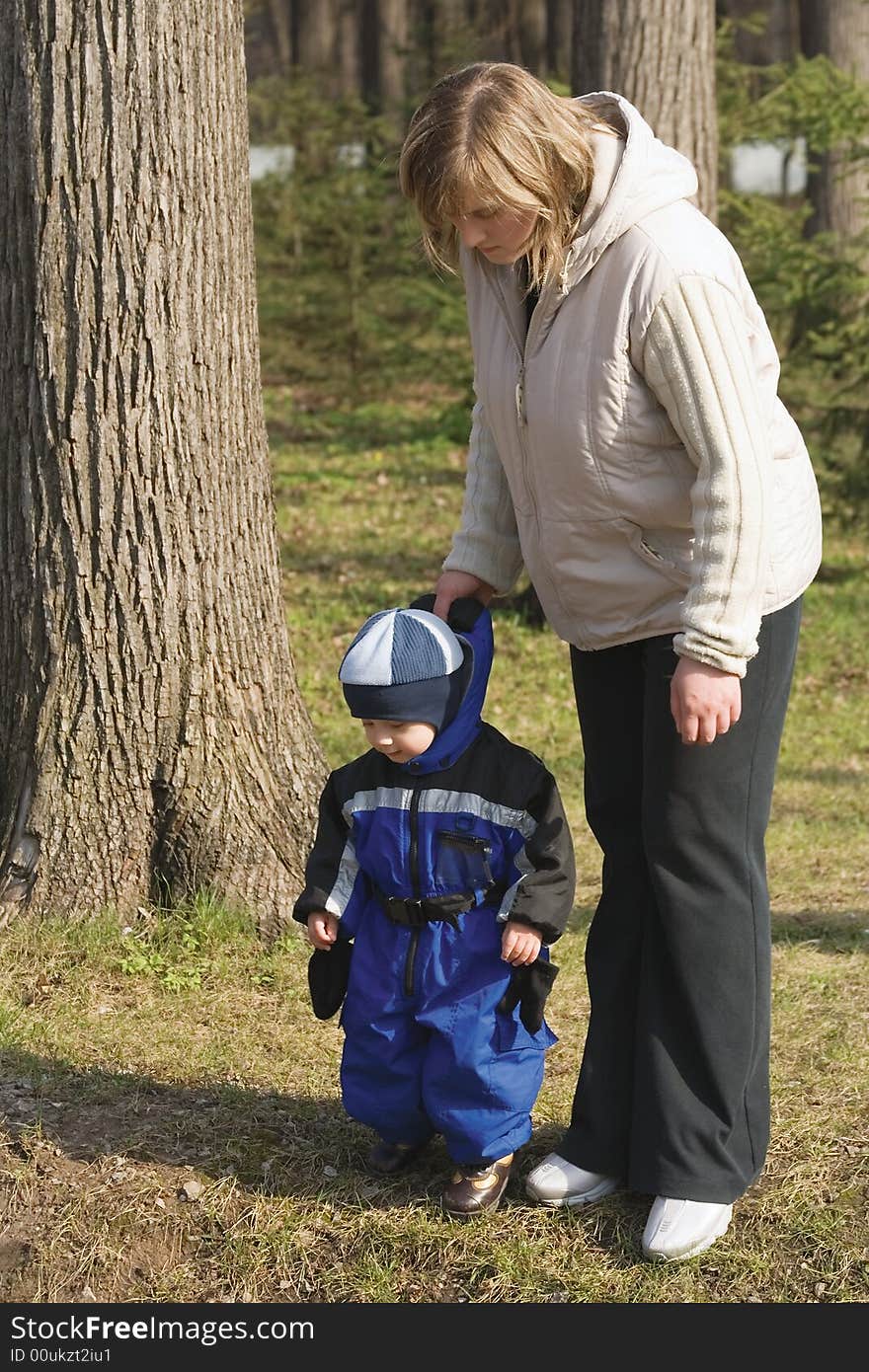 The little boy in a blue overalls walks with mum on a pine wood. The little boy in a blue overalls walks with mum on a pine wood