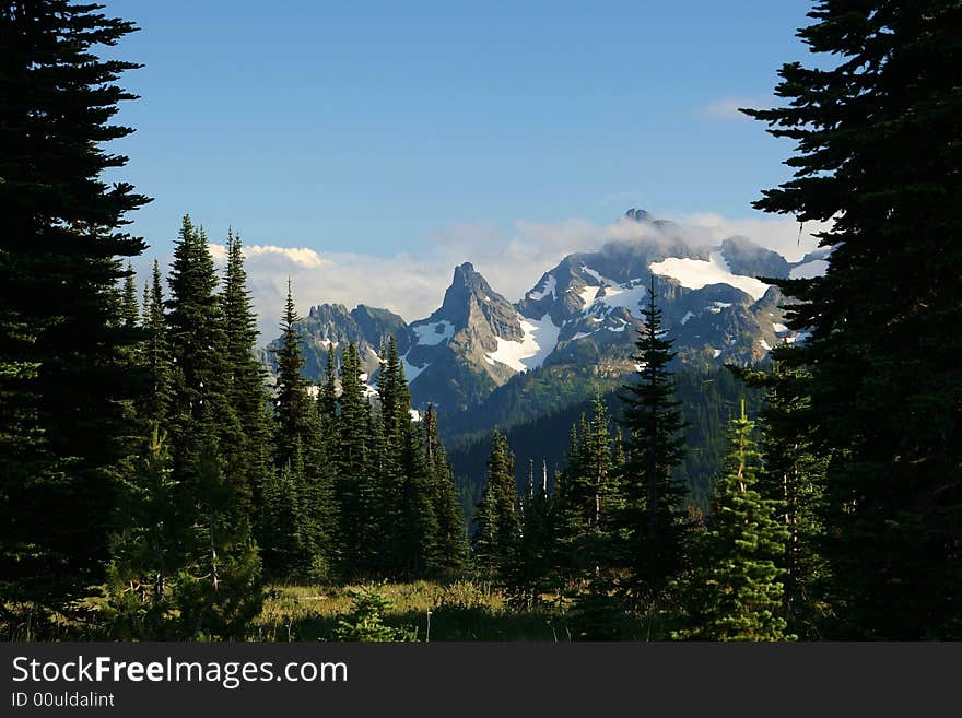 Scenic mount scene framed by trees. Scenic mount scene framed by trees