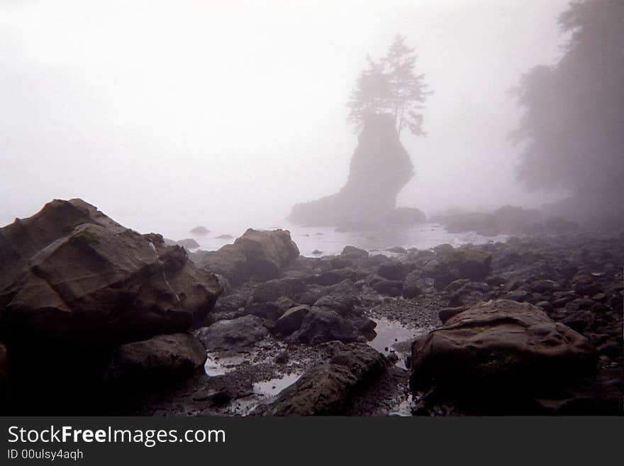 Beach island fog