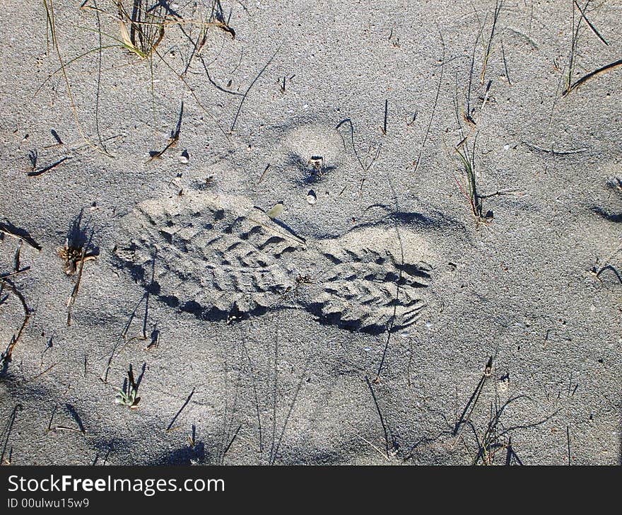 Isolated footprint on sand - background use