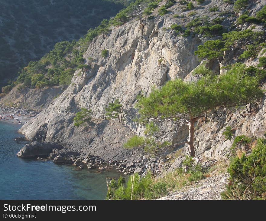 Sea landscape with rocks on the shore and tree on the rock. Recorded in Crimea, Black sea.