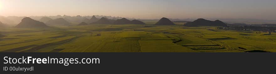 A field in the sunlight