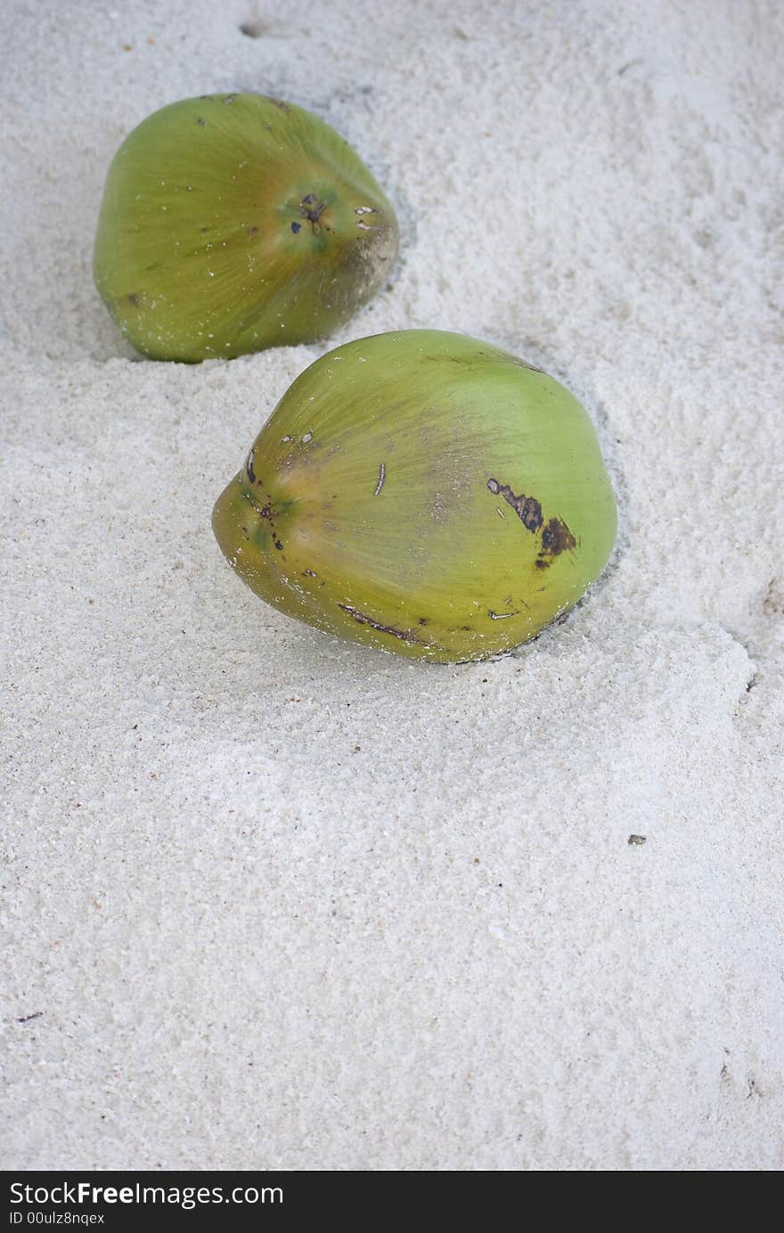 Coconut Fruit On The Beach Sand