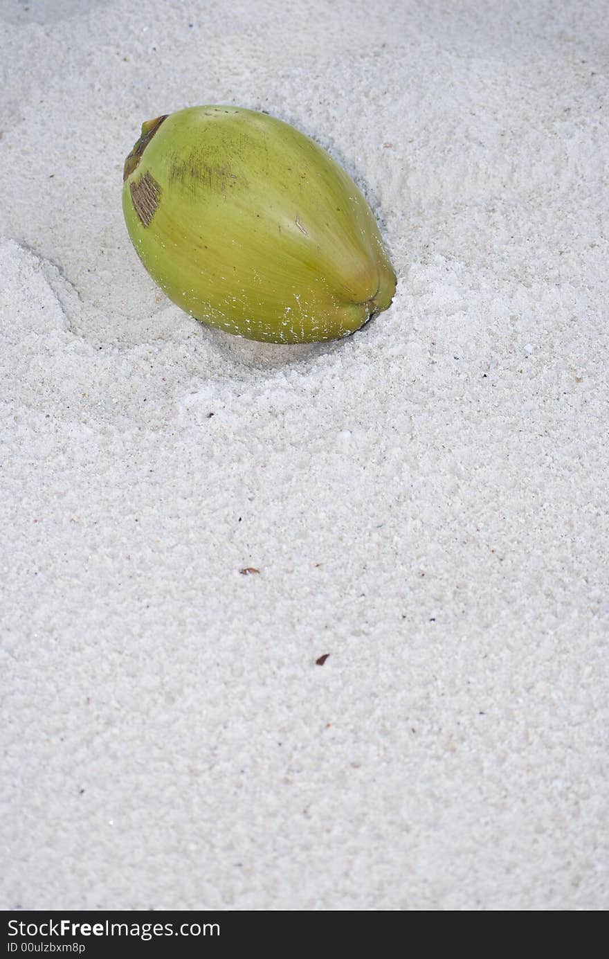 Coconut Fruit On The Beach Sand