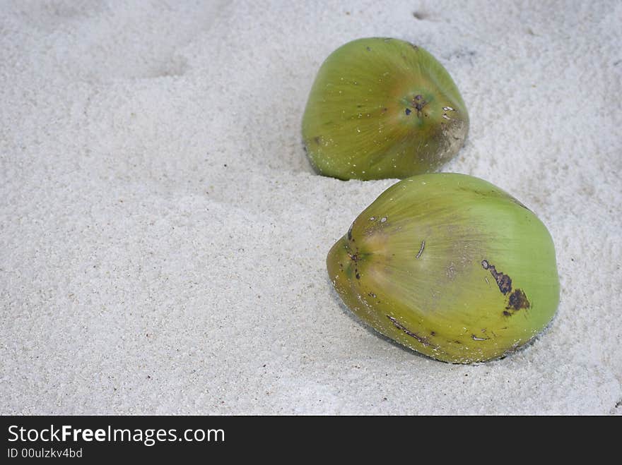 Coconut Fruit On The Beach Sand