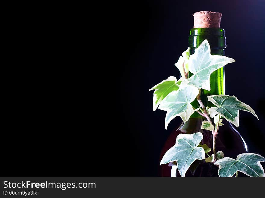 Closeup neck of the green glass wine bottle with ivy. Closeup neck of the green glass wine bottle with ivy