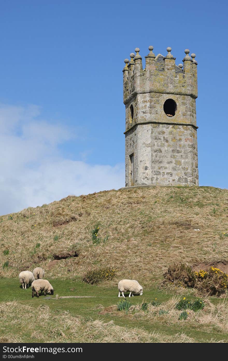 Tower and sheep just West of Fraserburgh, Scotland