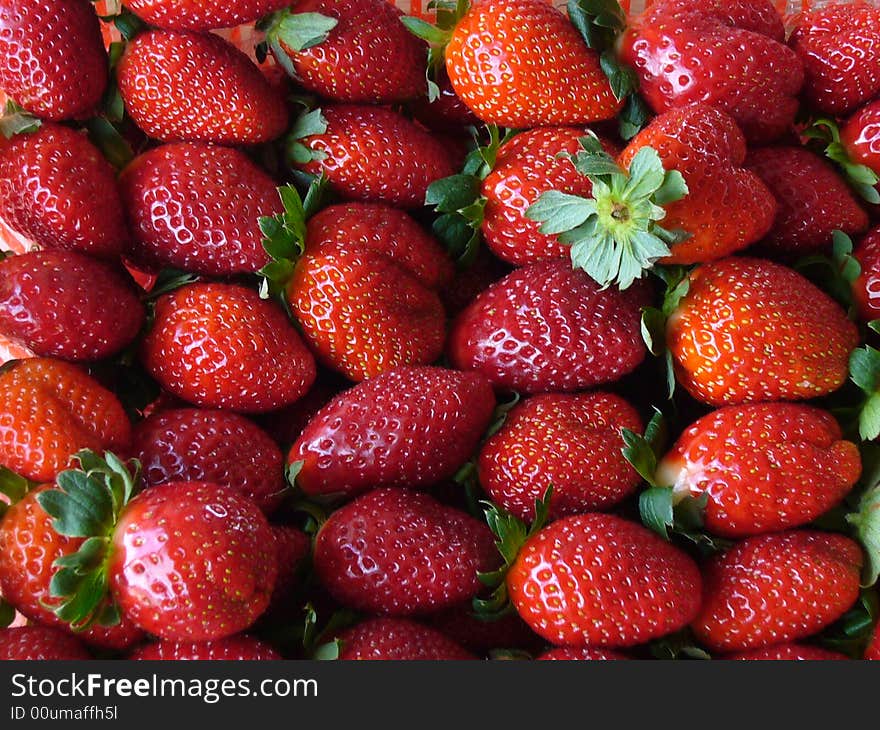 Fresh strawberries in Cameron Highland.