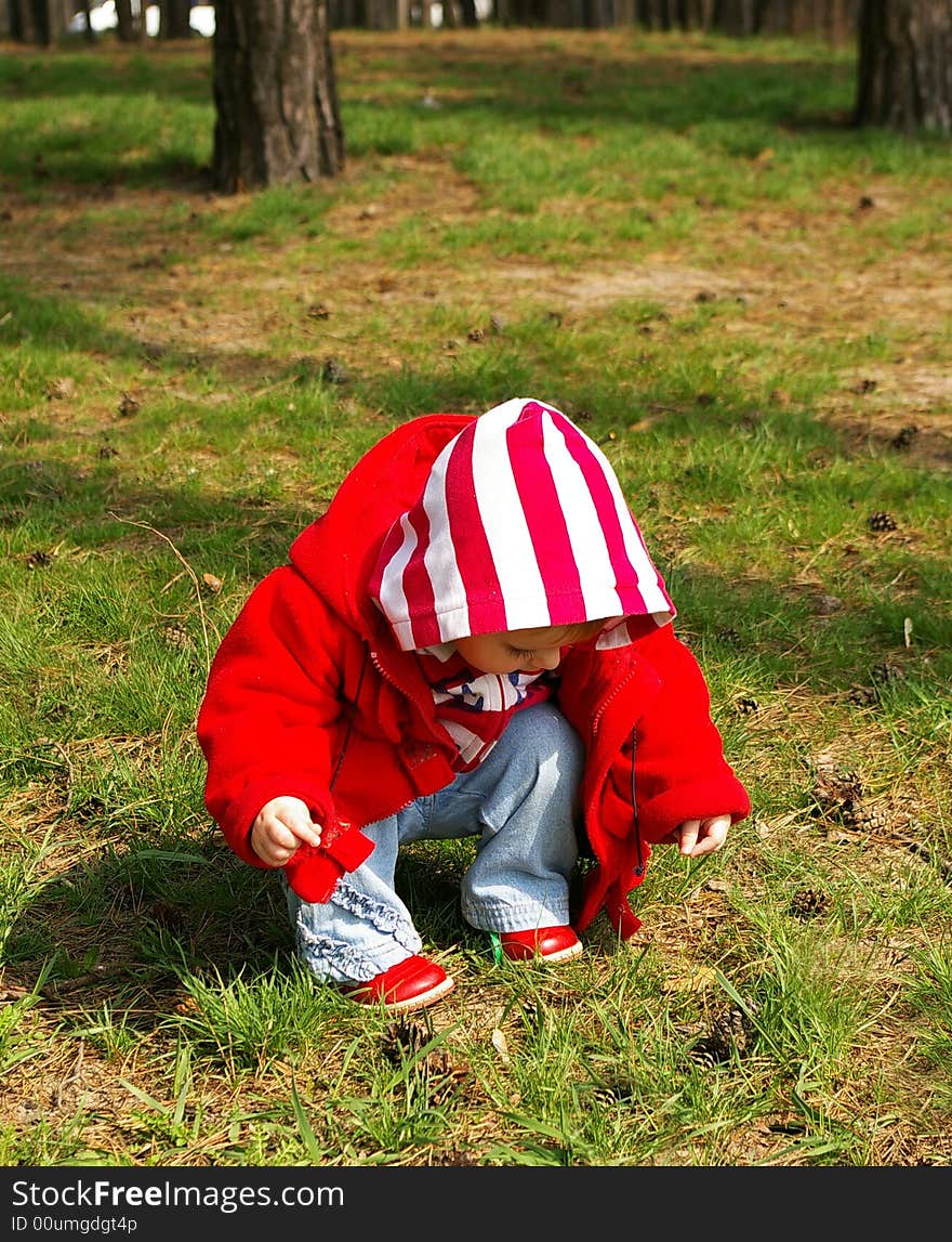 Little girl in a wood collects cones