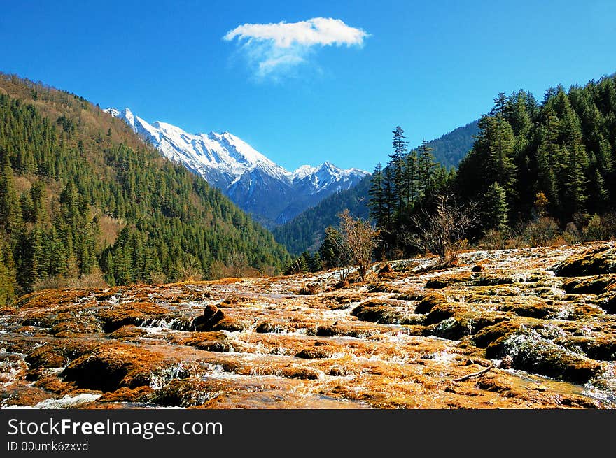 Qinghai-Tibet Plain snowy mountain, forest and waterfall,. Qinghai-Tibet Plain snowy mountain, forest and waterfall,