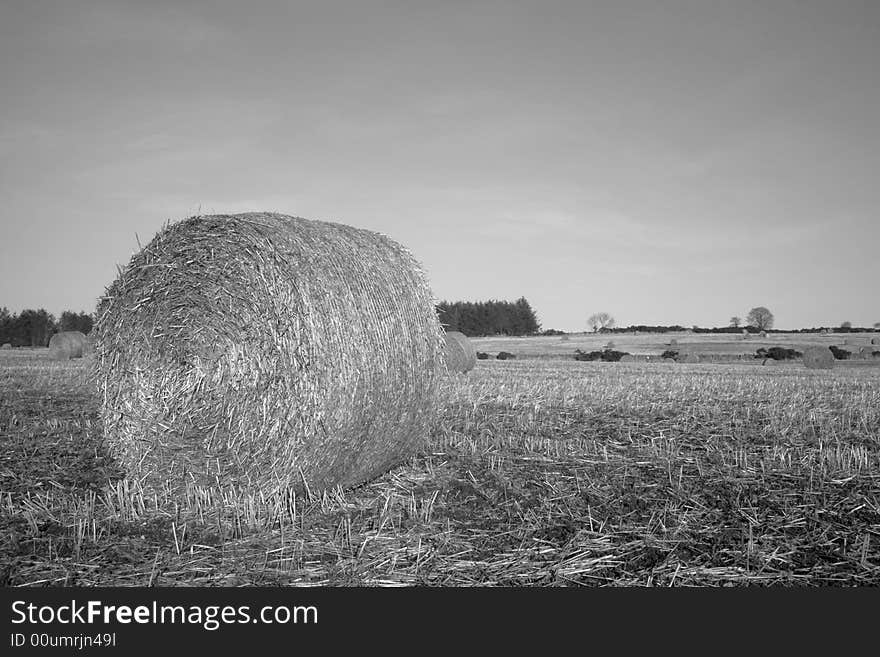 Black and White photo of Hay Bales in Scotland