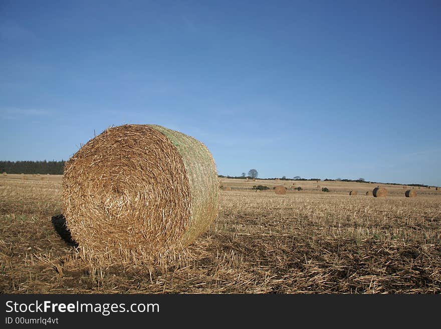 Photo of Hay Bales in a field near Inveruie, Scotland