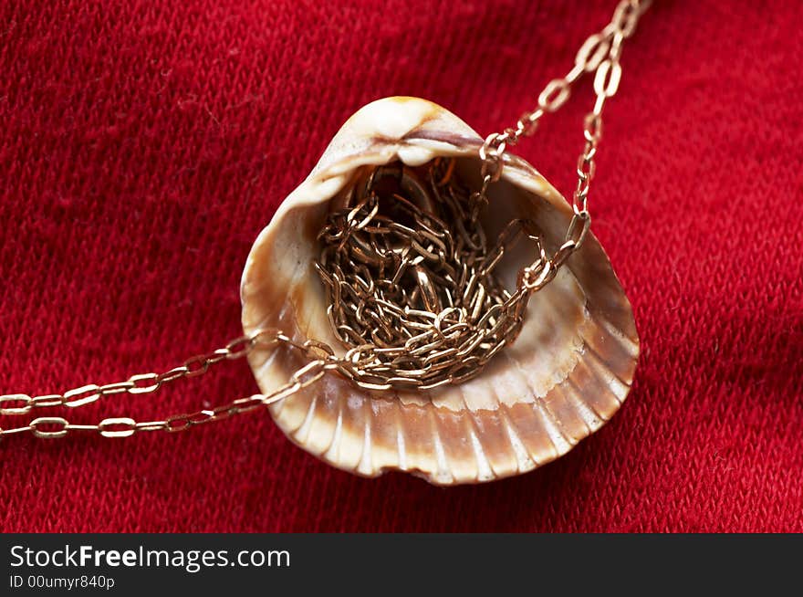 Sea shell and golden chain