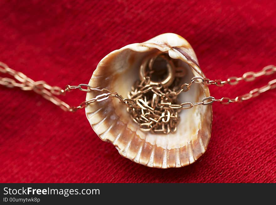 Sea shell and golden chain theme